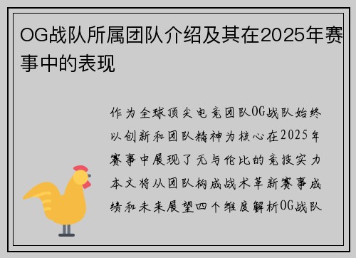 OG战队所属团队介绍及其在2025年赛事中的表现